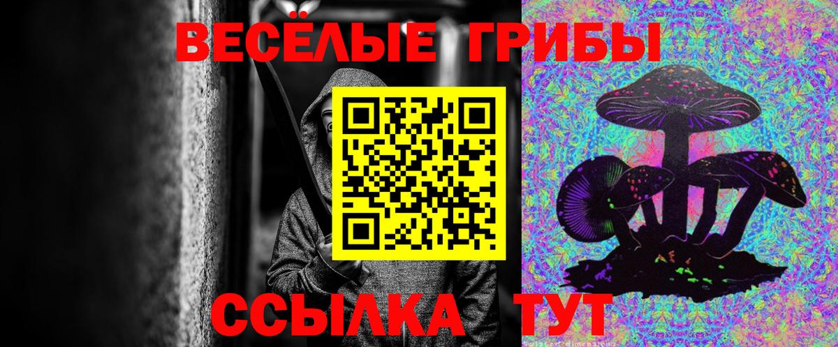Галлюциногенные грибы прущие грибы  Вход с VPN  Кандалакша 