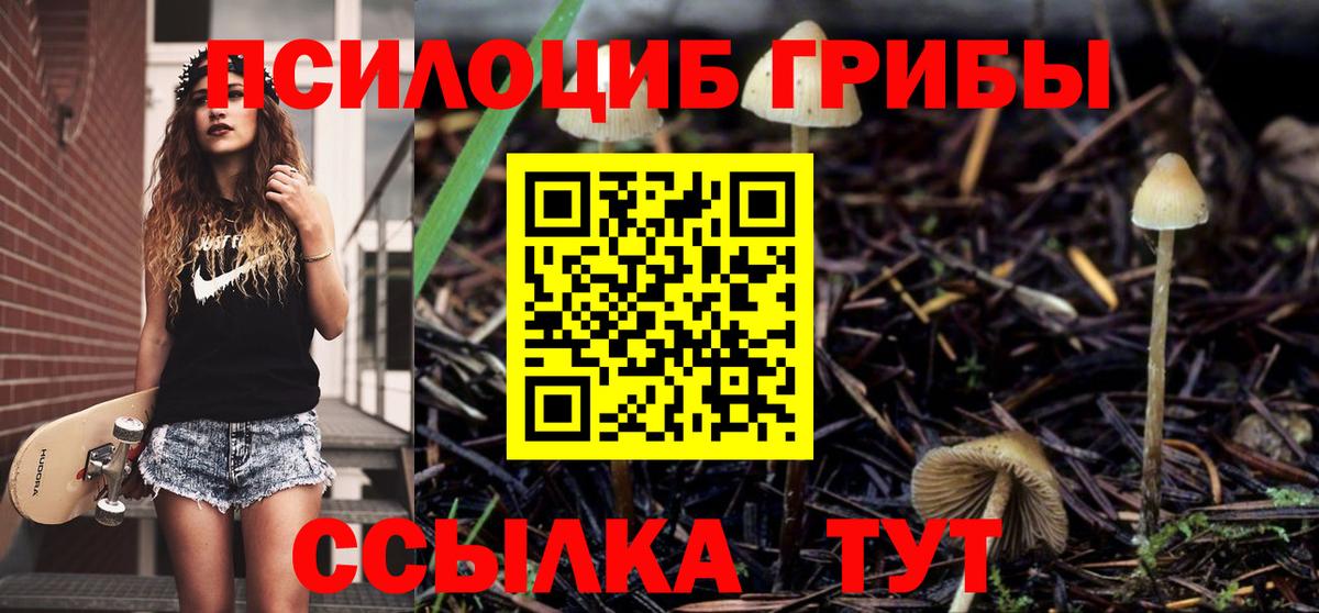 Галлюциногенные грибы ЛСД Кандалакша